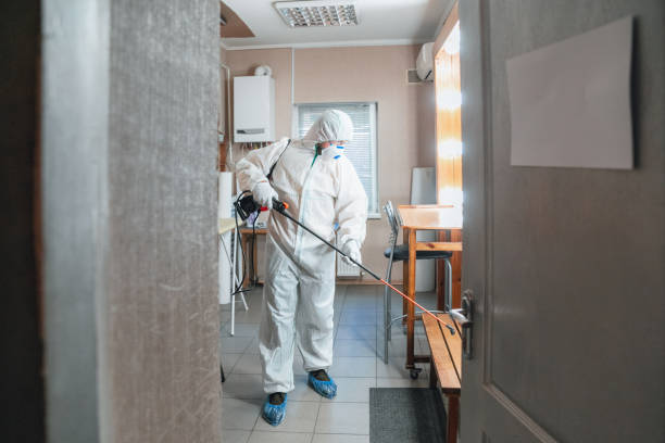 Mold Remediation for Rental Properties in Hidden Valley Lake, CA