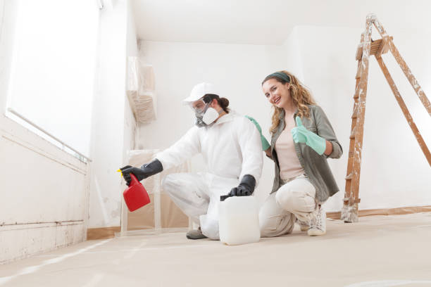 Mold Removal for HVAC Installations in Hidden Valley Lake, CA